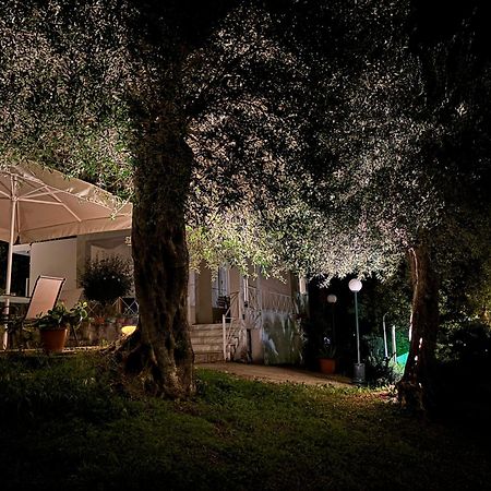 ダシア Casa Sofiaヴィラ エクステリア 写真