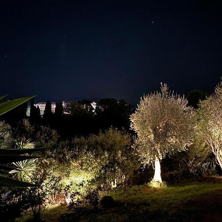 ダシア Casa Sofiaヴィラ エクステリア 写真