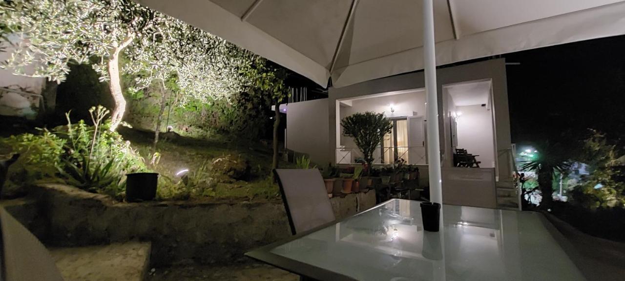 ダシア Casa Sofiaヴィラ エクステリア 写真