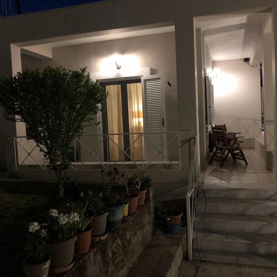 ダシア Casa Sofiaヴィラ エクステリア 写真