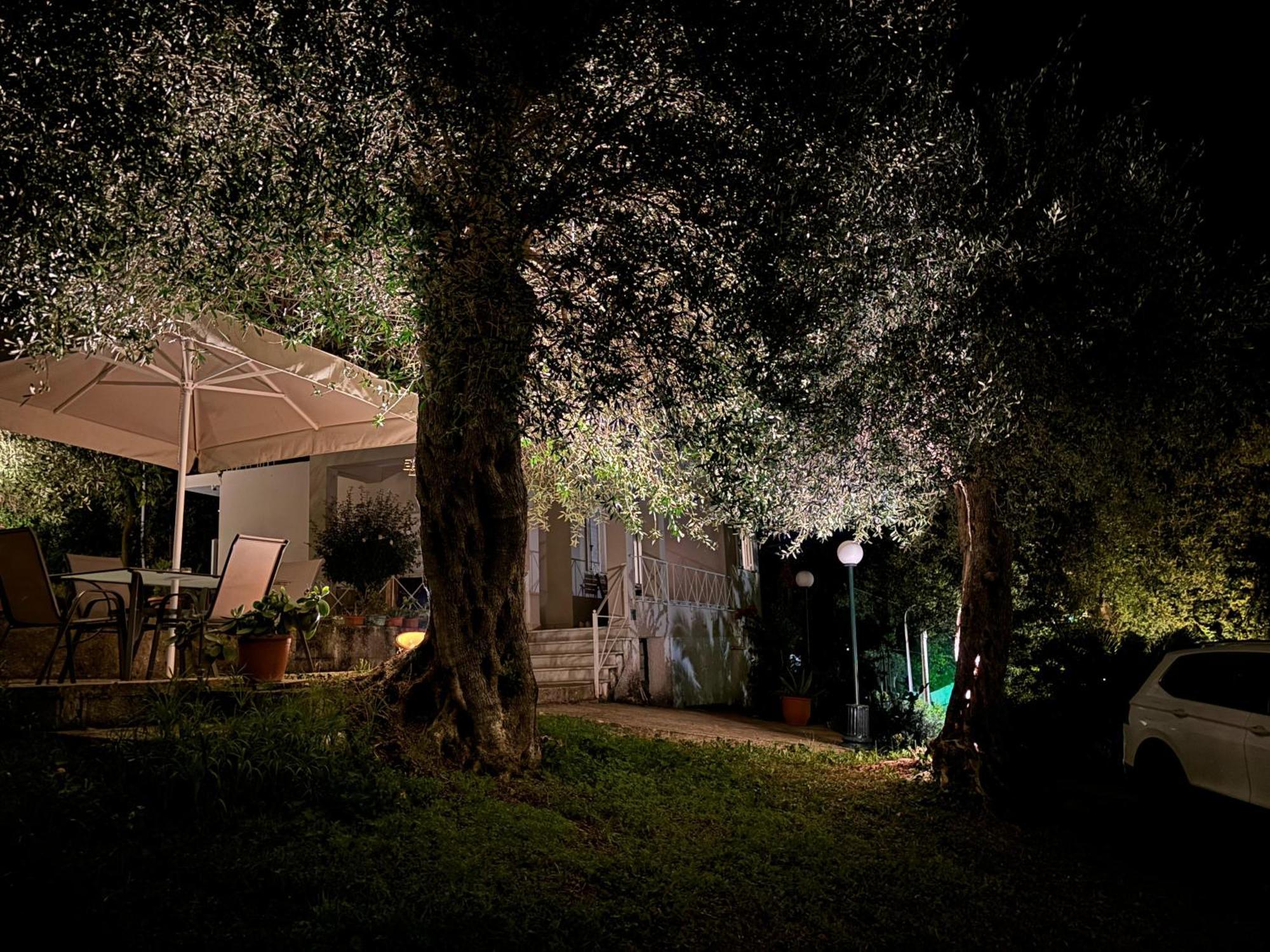 ダシア Casa Sofiaヴィラ エクステリア 写真